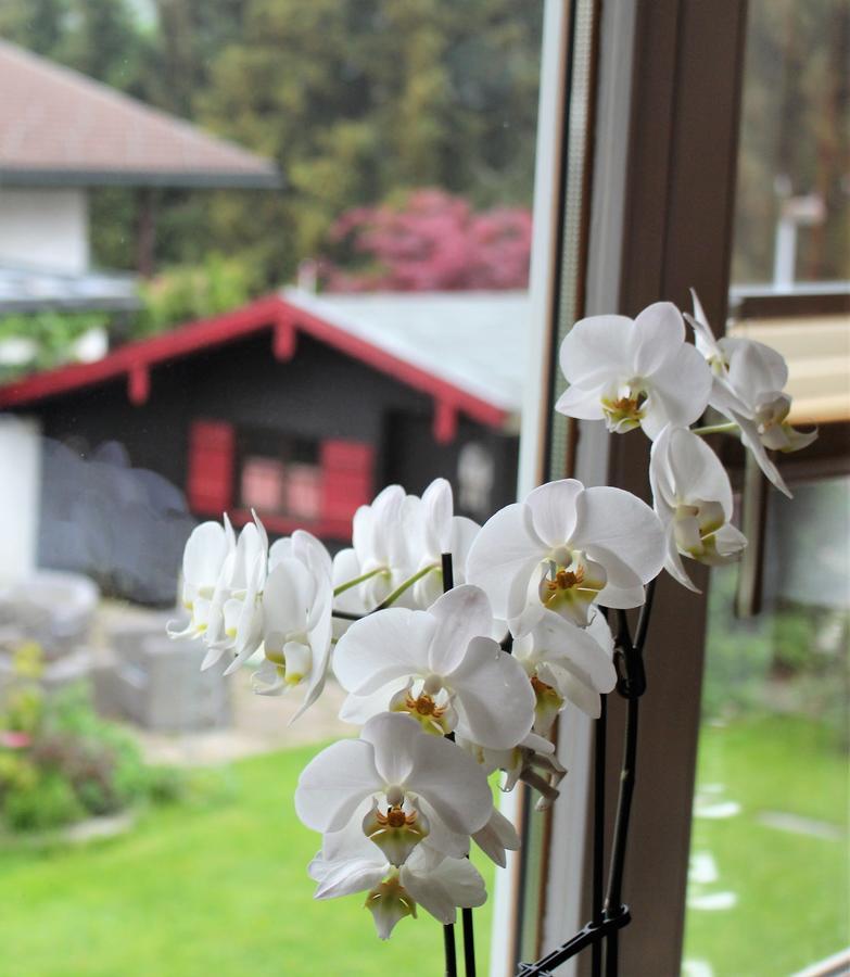 Gaestehaus Schmid Hotel Oberstaufen Eksteriør billede